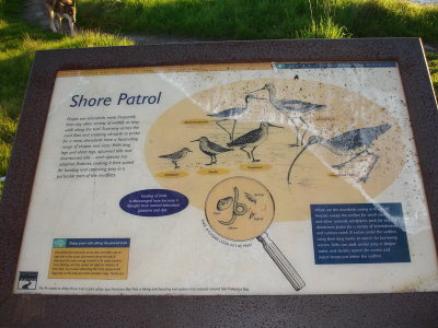 Pt Isabelle sign showing birds and natural processes. This sign is on the Bay Trail.
