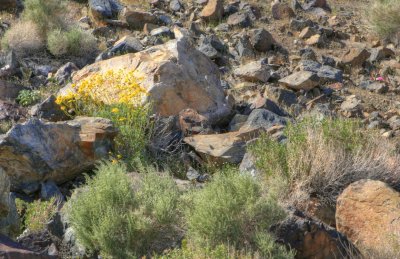 California Deserts - HDR Images