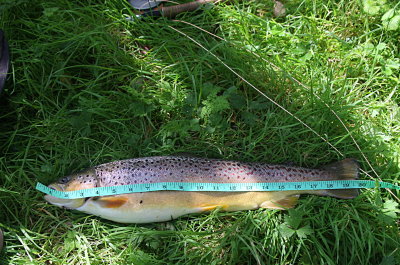 fishing_images