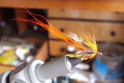 salmon_fishing