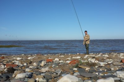 fishing_for_sea_bass