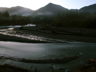 First Light - Hoh River