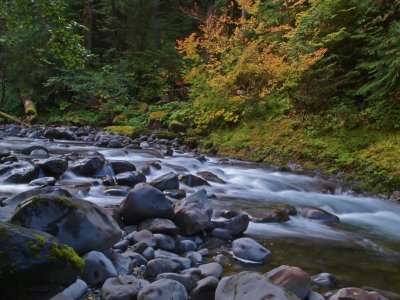 The Sol Duc River - Low and Slow