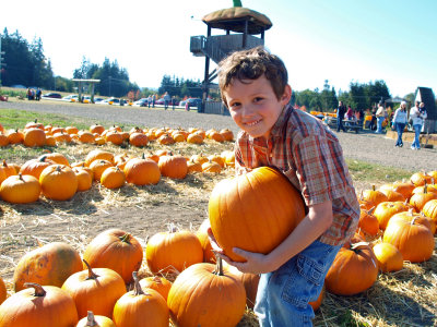 Glee at the Pumpkin Patch!