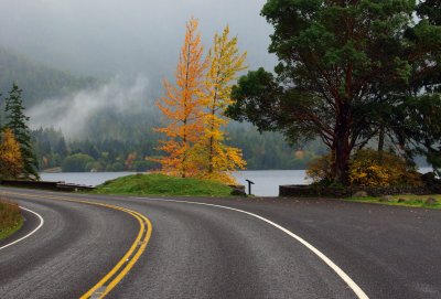 Highway 101 - Lake Crescent