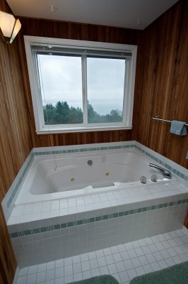 Master bath with jetted tub and view