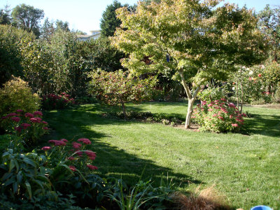 Summertime garden views