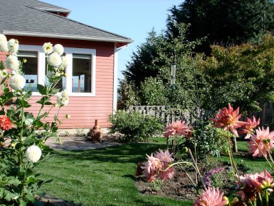 Summertime garden views