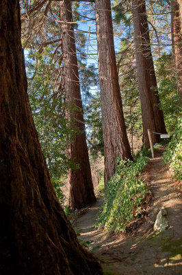 Trail leading to the house