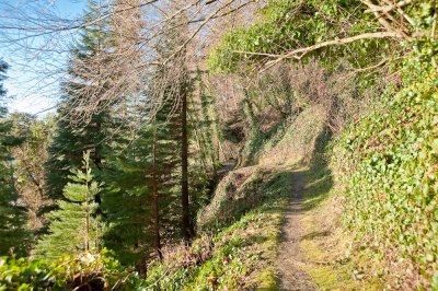 Trail leading to the house