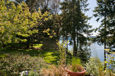 View from the deck