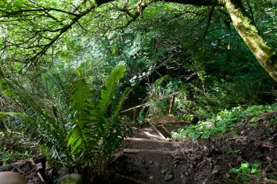 Stairs on the trial to the beach