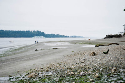 Beach and ferry in the background