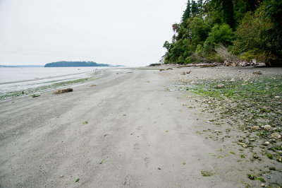 Beach looking North