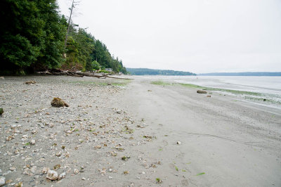 Beach looking South