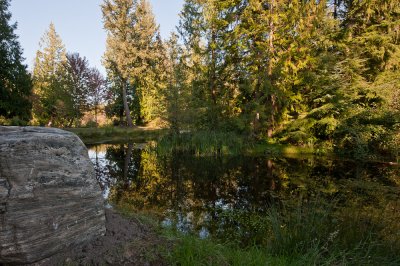DSC_5469.jpg