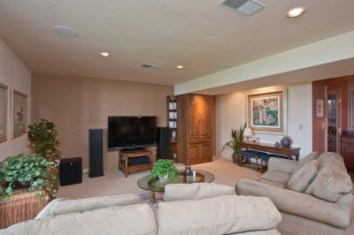 Downstairs den