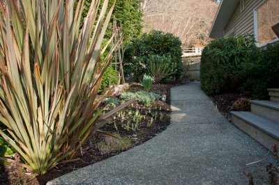 Path alongside the house
