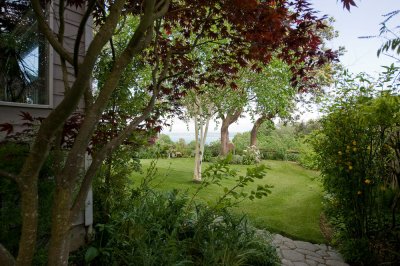 View from the side of the house