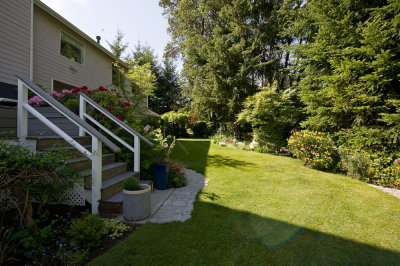 Lawn on the side of the house