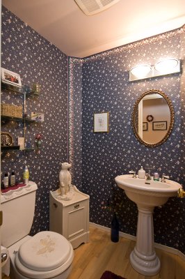 Main floor bath