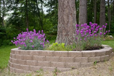 Garden detail