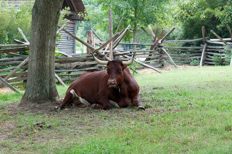 Colonial Williamsburg