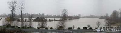 Snohomish River 2009 Flood Pano