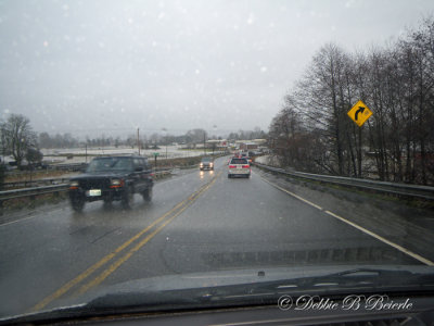 IMGP0067