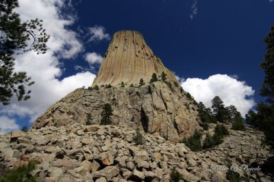 Devils Tower (Wyoming)