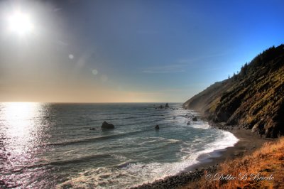 Northern California Coast