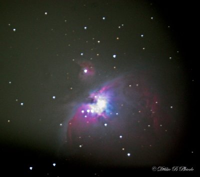 Orion Nebula