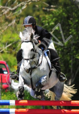 a&p show 2 008.jpg
