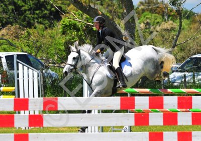 a&p show 2 013.jpg