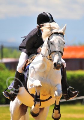 a&p show 2 014.jpg