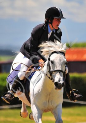 a&p show 2 016.jpg
