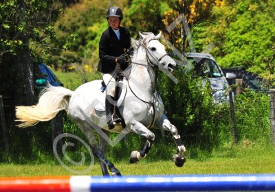 a&p show 2 028.jpg