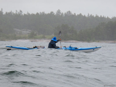 g1/35/782935/3/115146535.wQRSBS1r.jpg