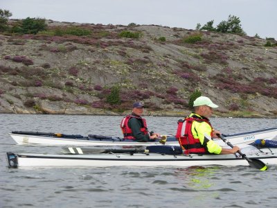 Johan och Kjelle framfr blommande ljung