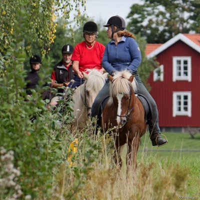 Pernilla hller koll p gruppen