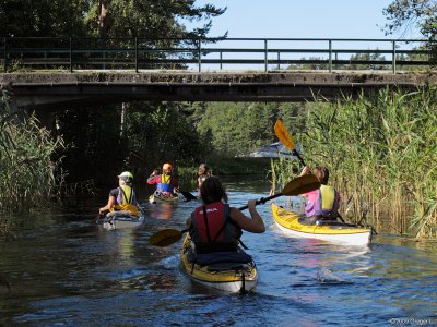 Kanal sder om Stavsns