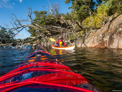 Vr grupp fick tidigt en bra uppsttning kort s vi krde lite fin paddling i omrdet istllet.