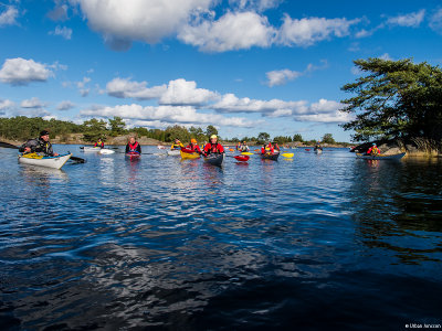 finfin paddling!