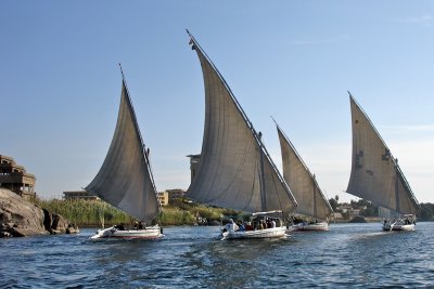 g1/35/7935/3/111747474.qPh9ZTIB.jpg