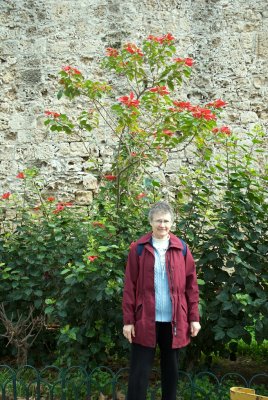 Joanne and Hyacinth tree
