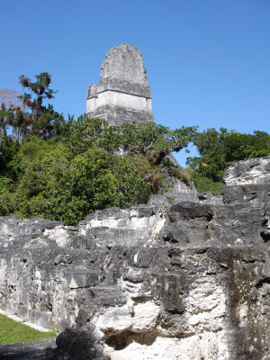 1178Tikal5.jpg