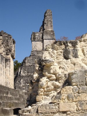 1182Tikal7.jpg