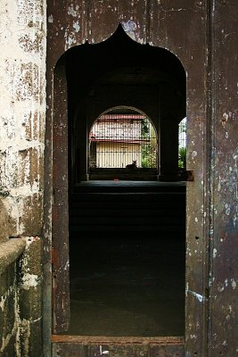 IMG_0729small.jpg