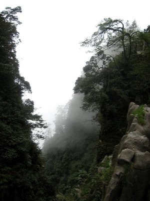 IMG_1386.JPG