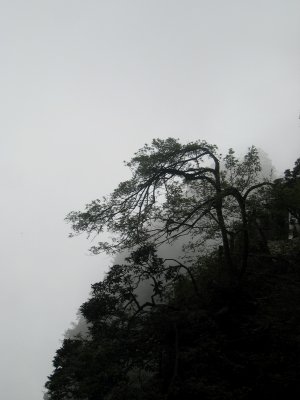 IMG_1387.JPG